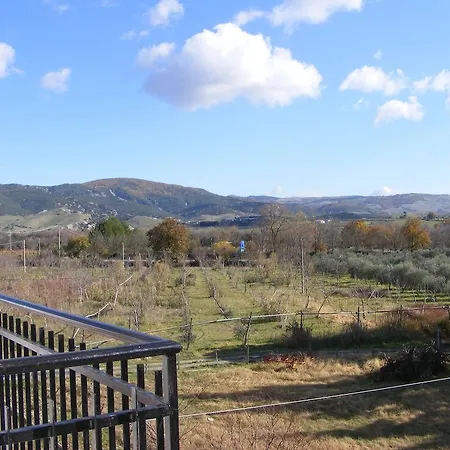 Isabella *